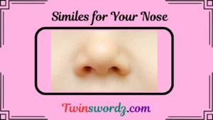 Read more about the article 35 Similes for Your Nose: A Fun and Creative Guide for 2025